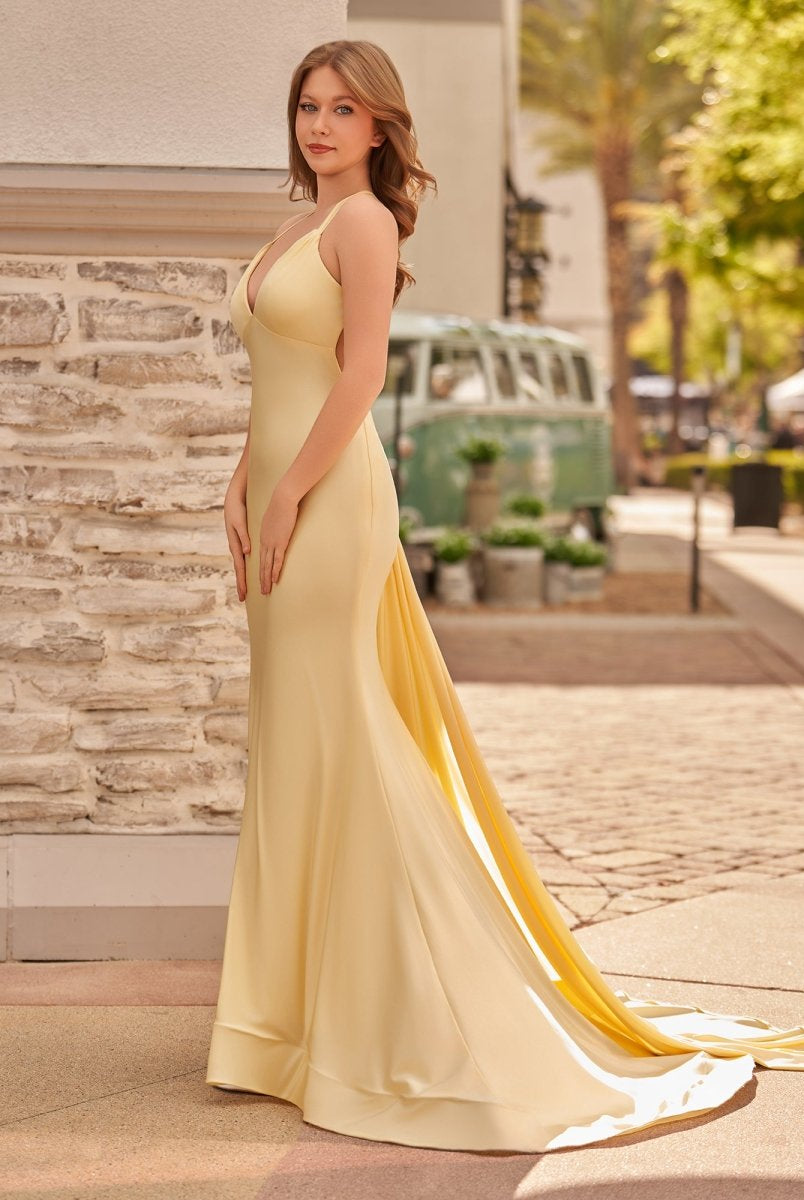 Quaylee | Yellow Mermaid V - Neck Satin Prom Dresses With Tail Evening Dress - KissProm