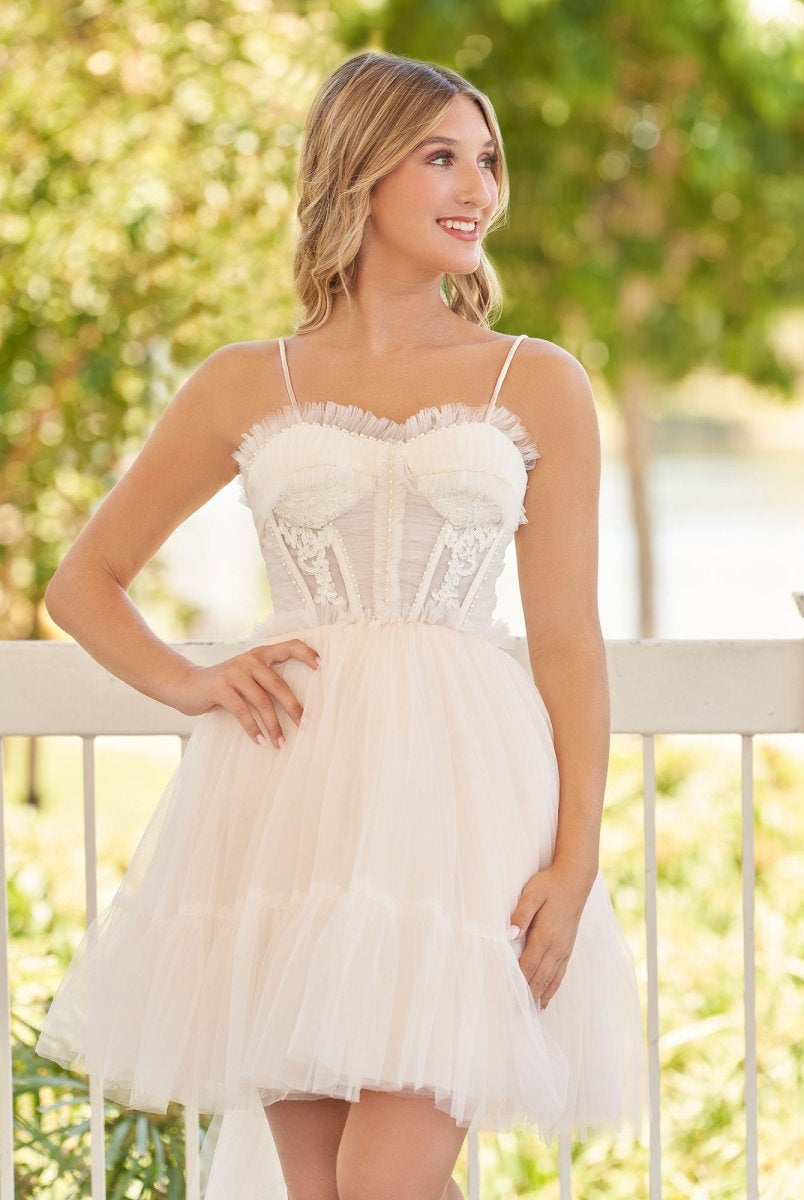 Rosa | Spaghetti Straps Tulle Lace Appliques Short Prom Dresses With Bow - KissProm