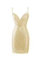 Nigella |Bodycon V Neck Blue Sequins Homecoming Dress - KissProm